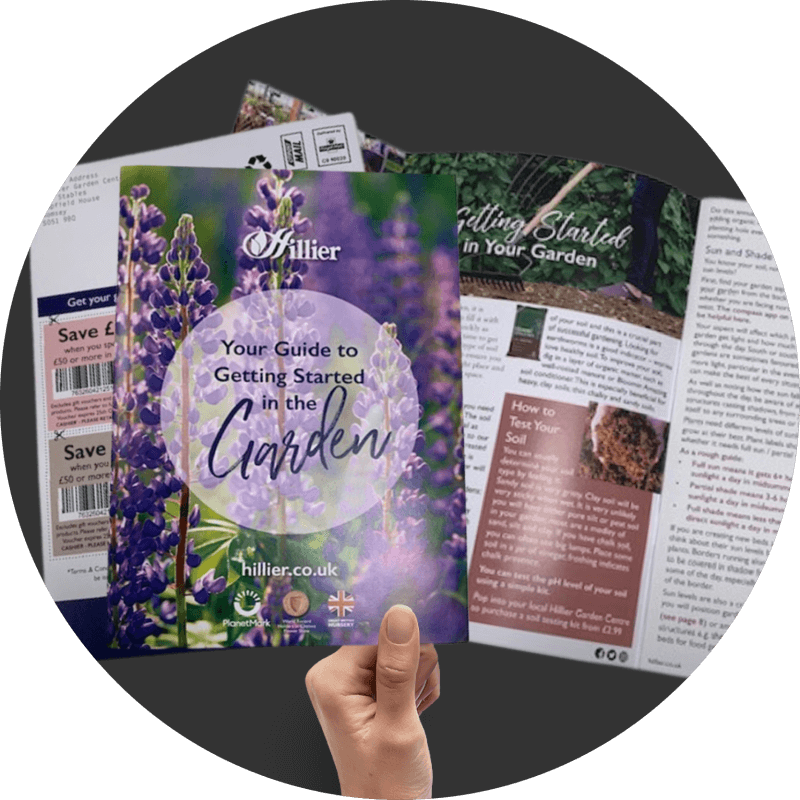 Hillier Garden Centre Direct Mail sample of front, back and open 6 page one piece mailer