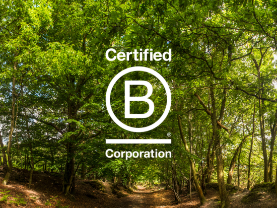 Certified B Corporation logo against a UK woodland